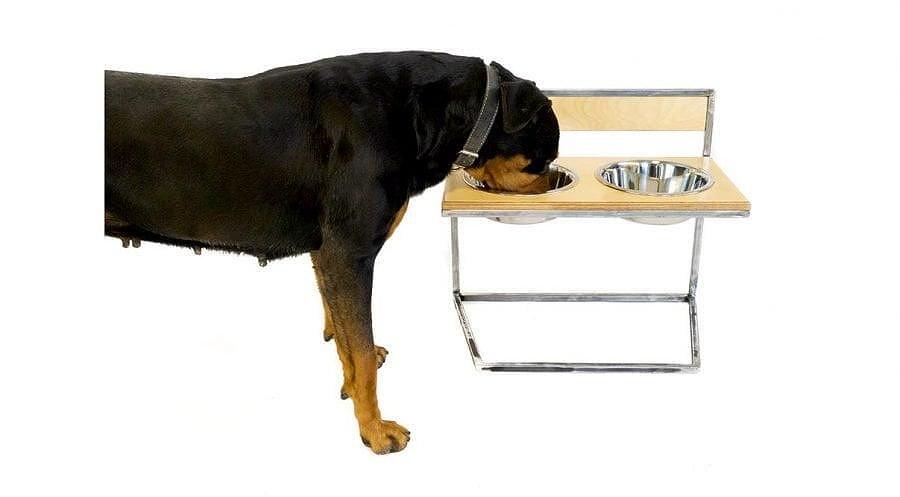 4Legs Dstoop adjustable pet food stand with metal bowls, designed for dogs to eat comfortably.