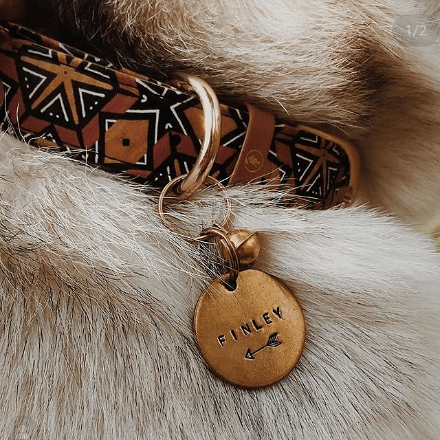 Stylish dog collar with colorful pattern and a personalized name tag for a pet named Finley.