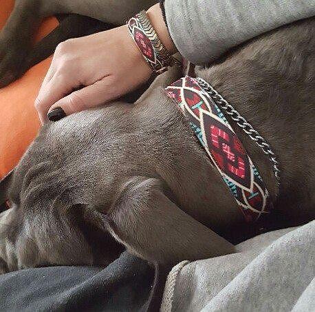 Stylish dog collar and friendship bracelet in vibrant colors, showcasing the ARGUS "Boho" design and comfort.