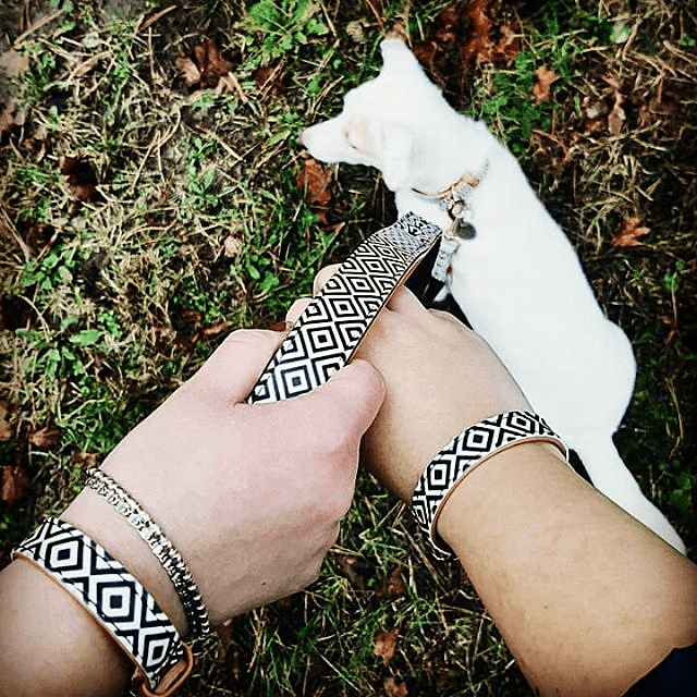 Stylish black and white dog collar and friendship bracelets on wrists with a dog walking in the background.