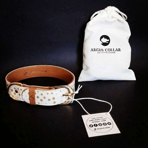 ARGUS dog collar with star design and branded pouch, showcasing stylish pet accessory and gift packaging.