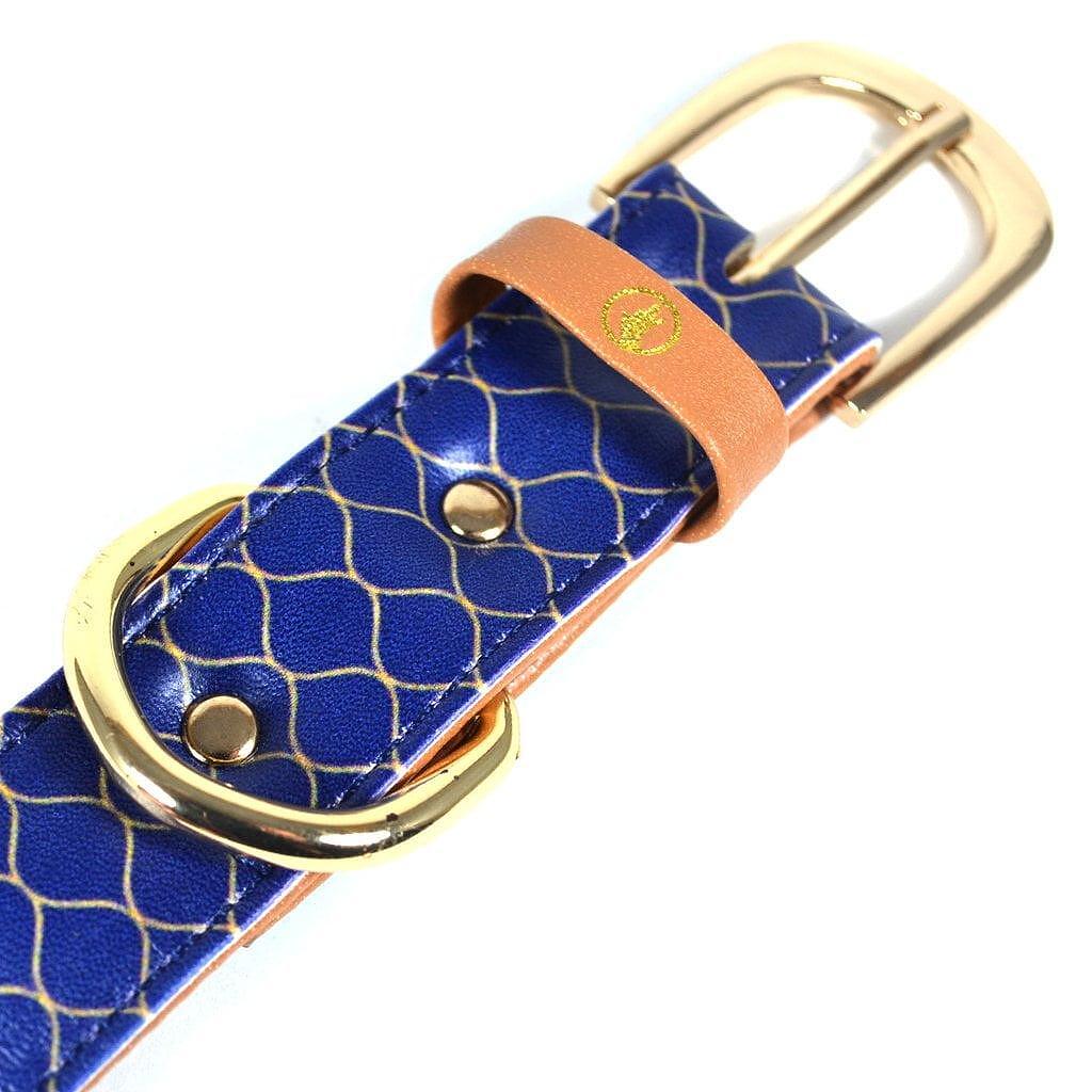 Stylish blue dog collar with gold accents, part of ARGUS 'Gentleman' collection.
