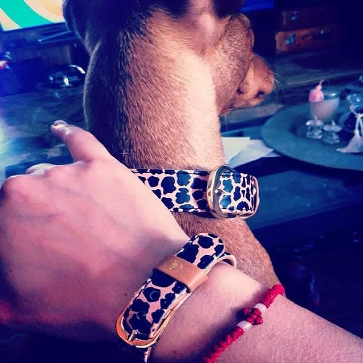Stylish dog collar and matching friendship bracelet featuring a trendy leopard print design.