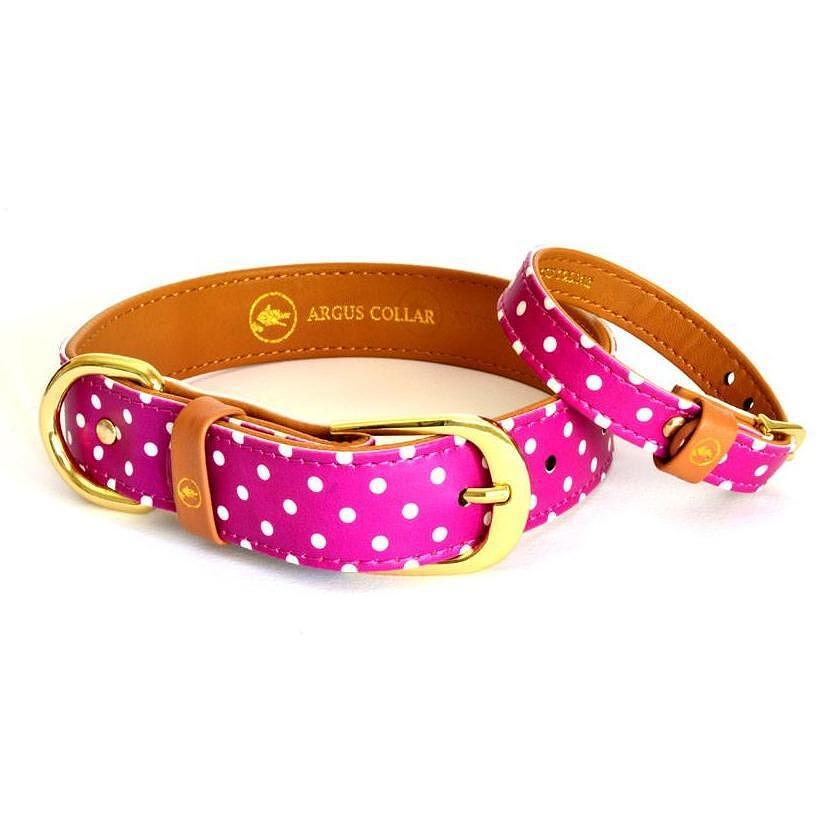 ARGUS Pinky Dot dog collar and friendship bracelet set in pink with white polka dots, featuring a gold buckle.