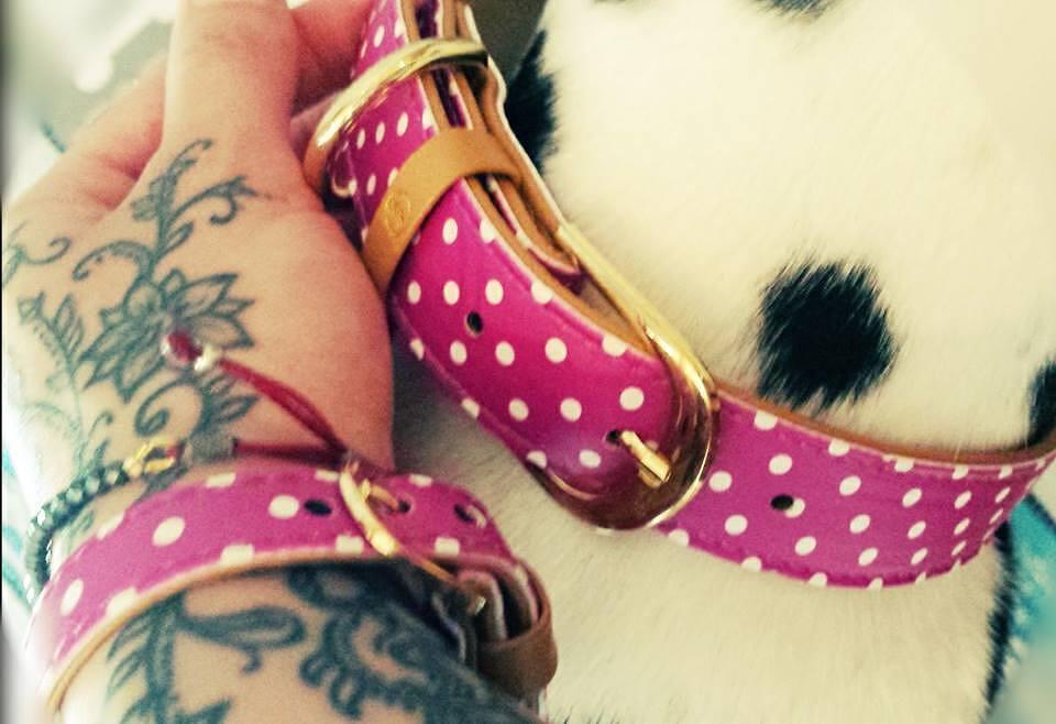 Stylish pink polka dot dog collar and matching friendship bracelet on a tattooed wrist.