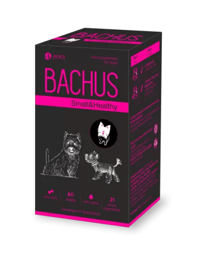 BACHUS Small & Healthy supplement for small dogs, 60 tablets, supports vital organ health and metabolism.