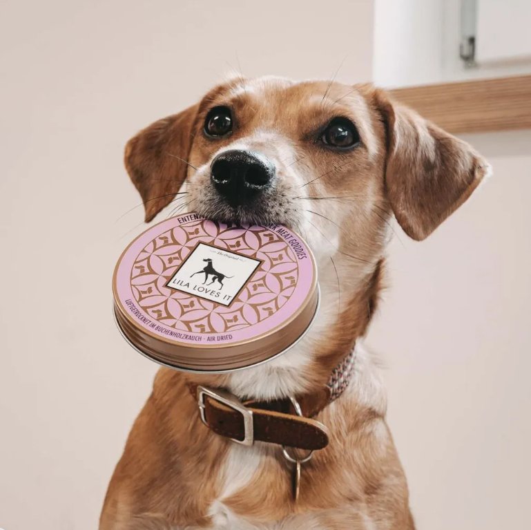 Dog holding Lila Loves It treat canister, eager to enjoy delicious duck meat snacks.